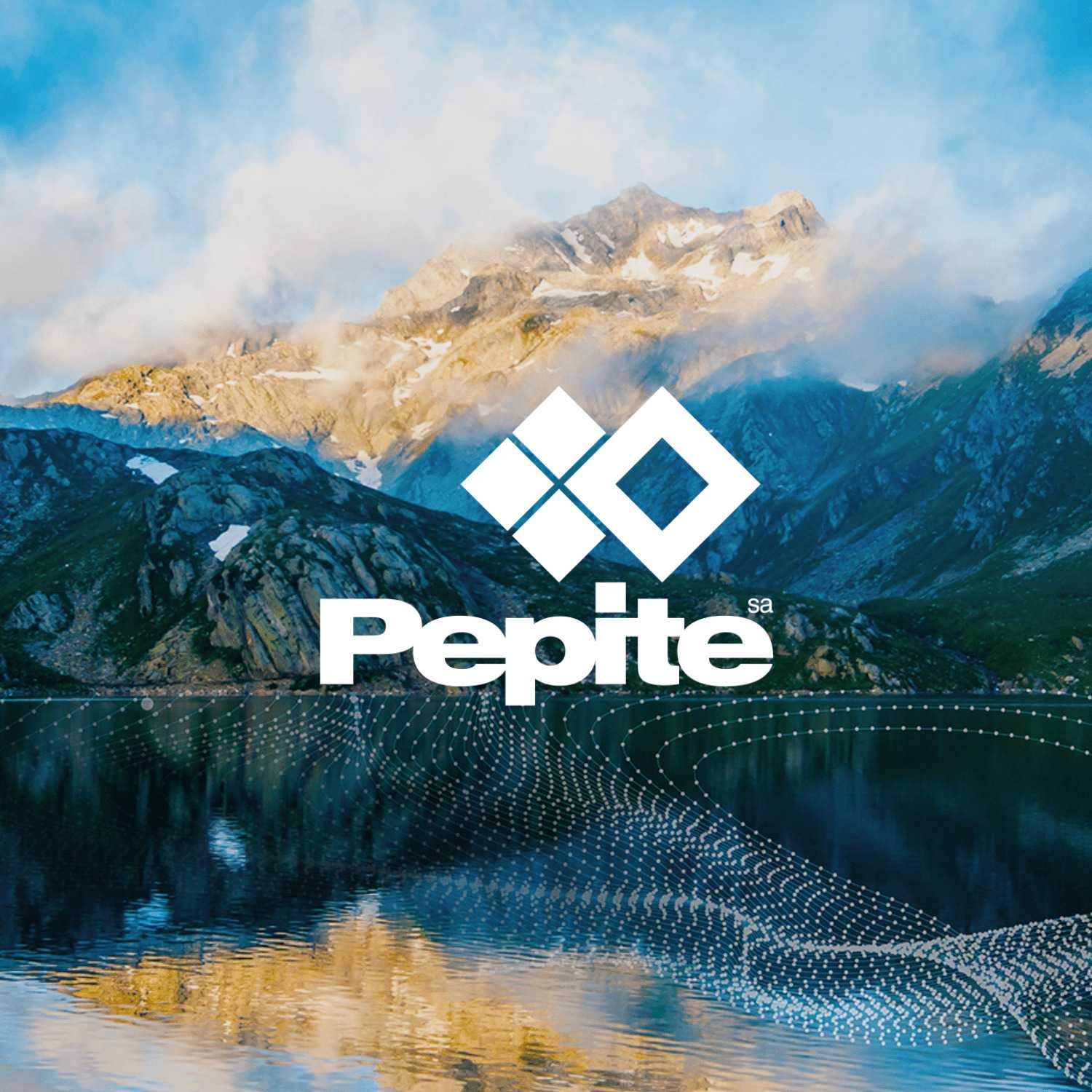 DATAmaestro, PEPITe's own AI software
