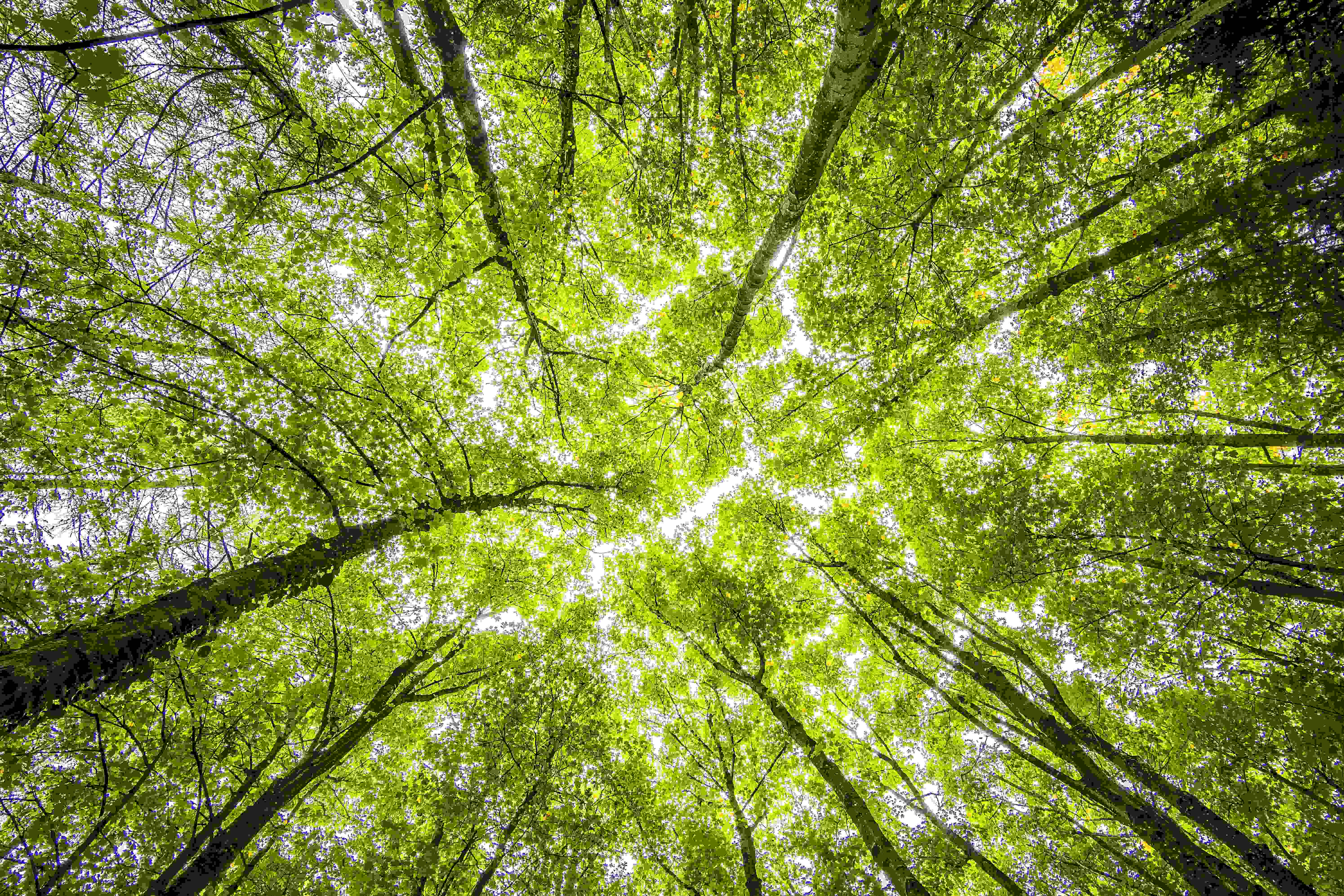 Use cases: Reduce waste in industry