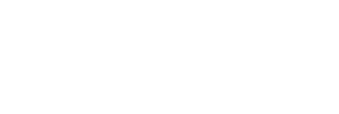 OPTImaestro